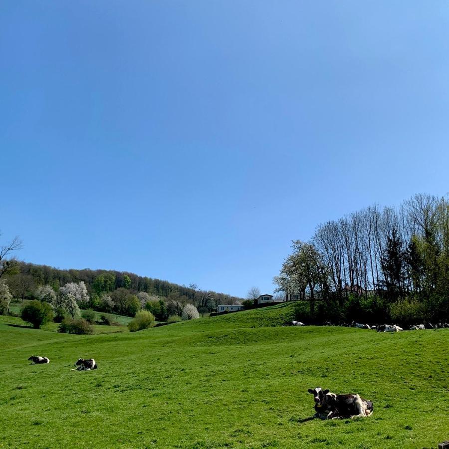 Hoeve Beusdalshof Hotell Ingber Eksteriør bilde