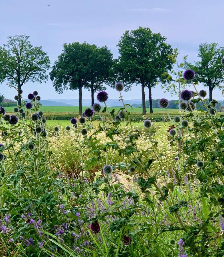 Hoeve Beusdalshof Hotell Ingber Eksteriør bilde